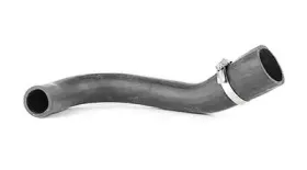 BSG65720144 BSG Трубка нагнетаемого воздуха BSG65720144 BSG Трубка нагнетаемого воздуха